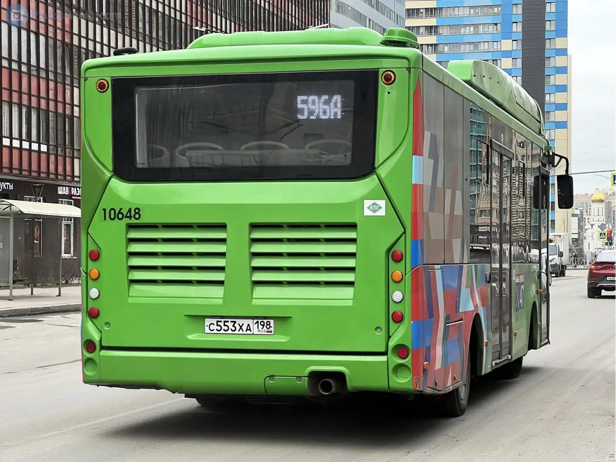Автобусы