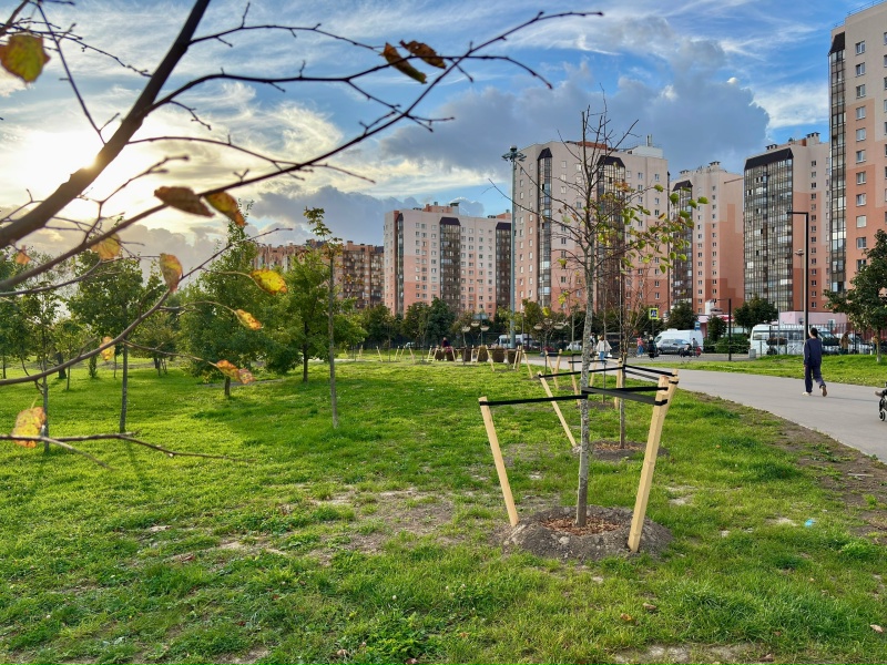 Парк Оккервиль