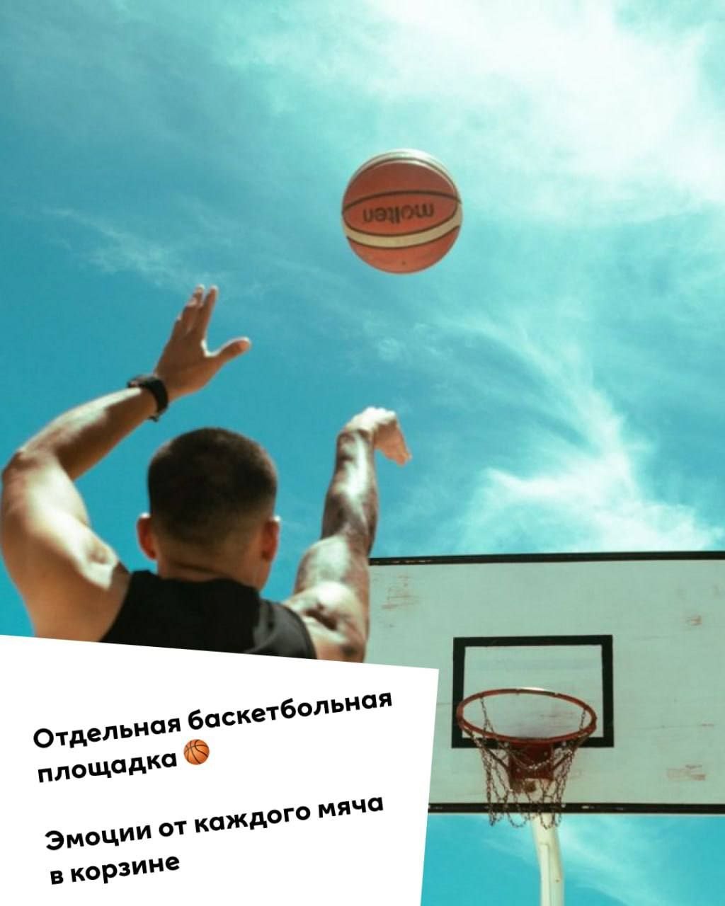 Фестиваль «Лето на спорте» в МЕГЕ
