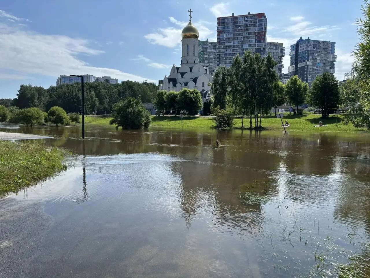 В парке «Оккервиль» вода отступает