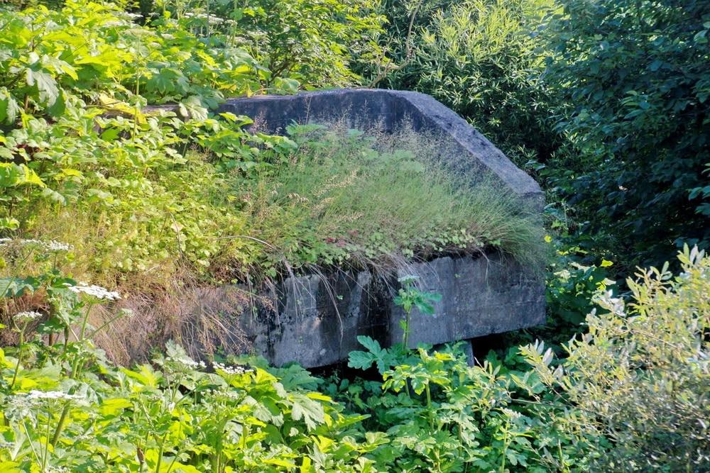 Бетонные устои старого моста через Оккервиль рассказывают историю Кудрово