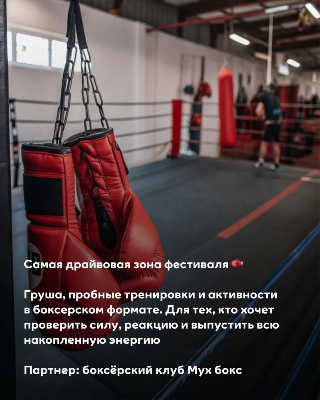 Фестиваль «Лето на спорте» в МЕГЕ