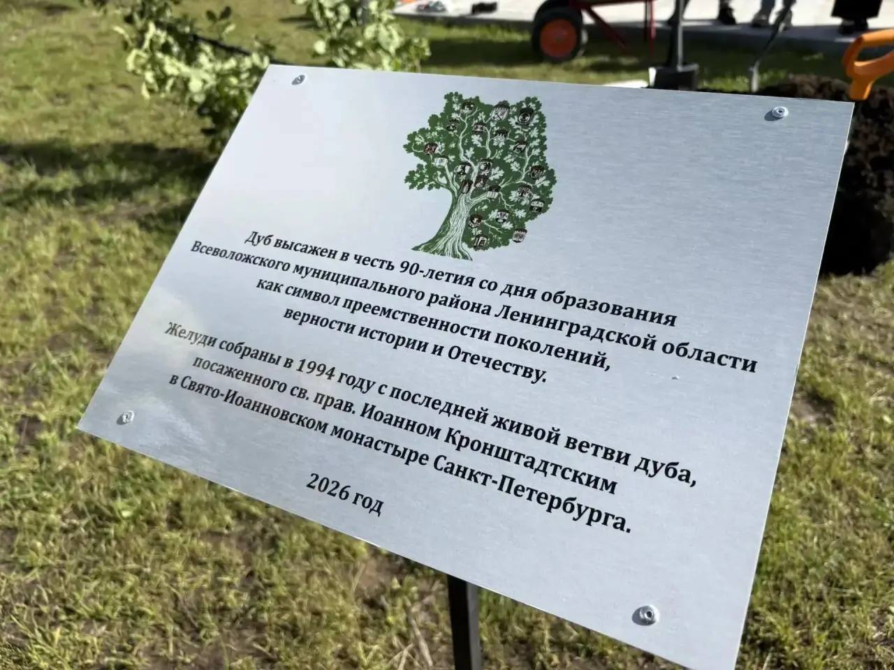 В парке «Оккервиль» посадили потомка легендарного дуба святого Иоанна Кронштадтского